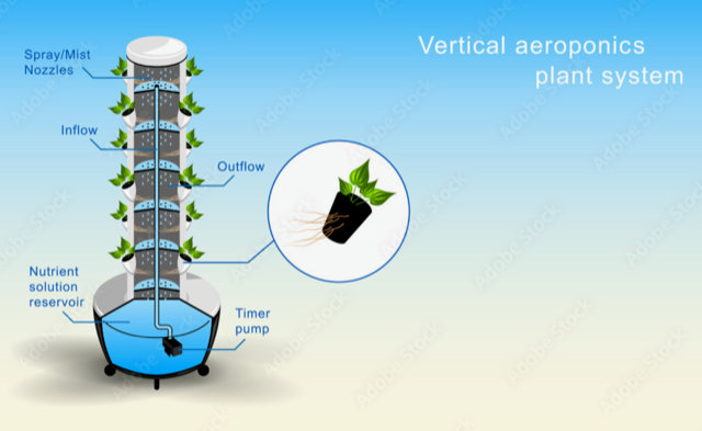 Loreto Vertical Farming